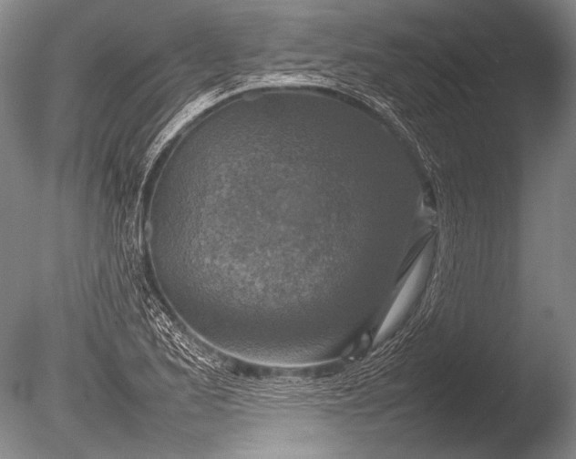 X0000085731173200703301353