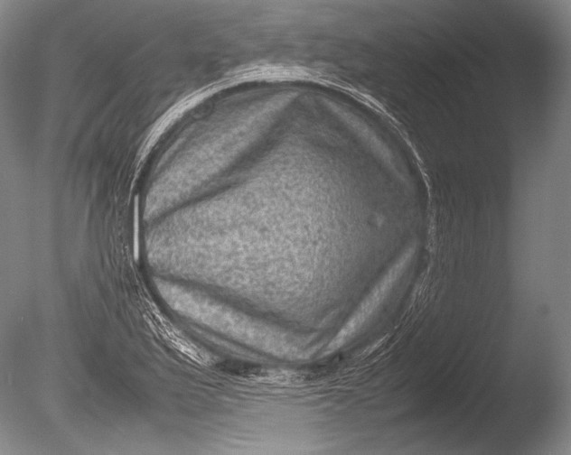 X0000085731175200703301353