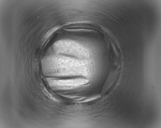 X0000085731177200703301353