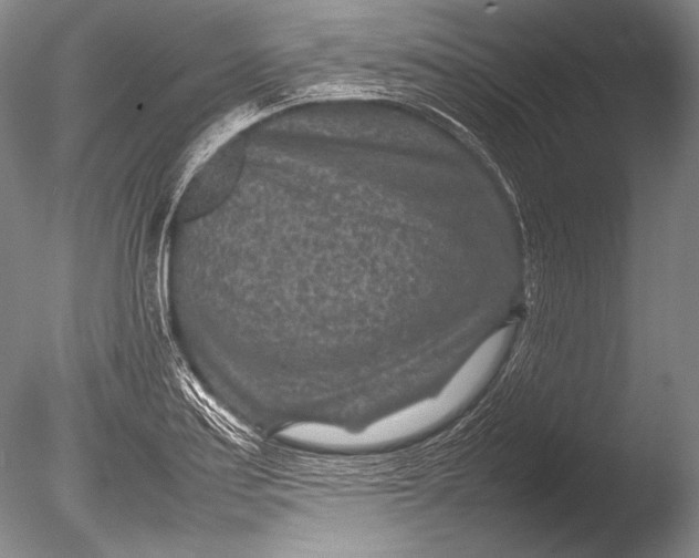 X0000085731179200703301353