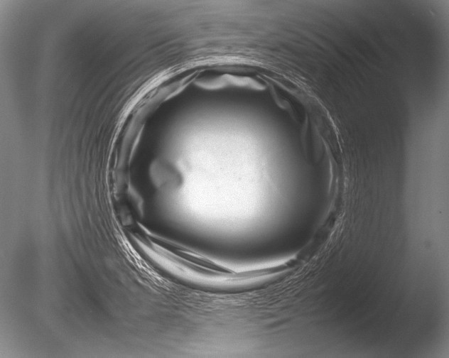 X0000085731181200703301353