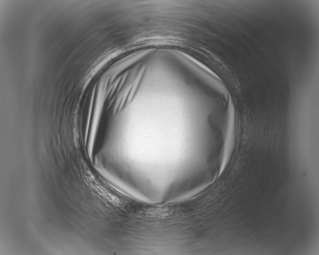 X0000085731182200703301353