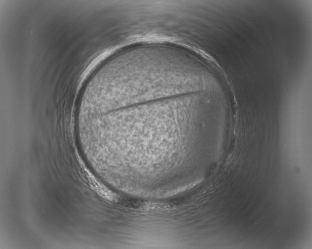 X0000085731183200703301353