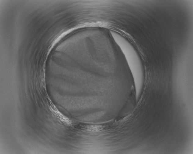 X0000085731184200703301353