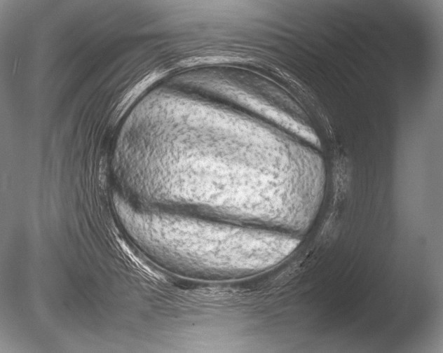 X0000085731185200703301353