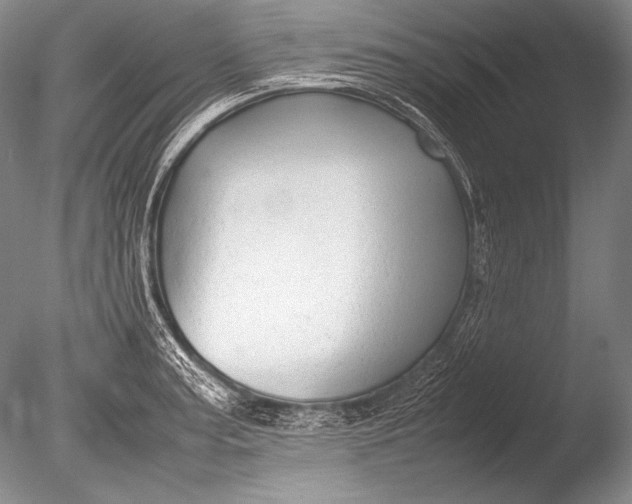 X0000085731187200703301353