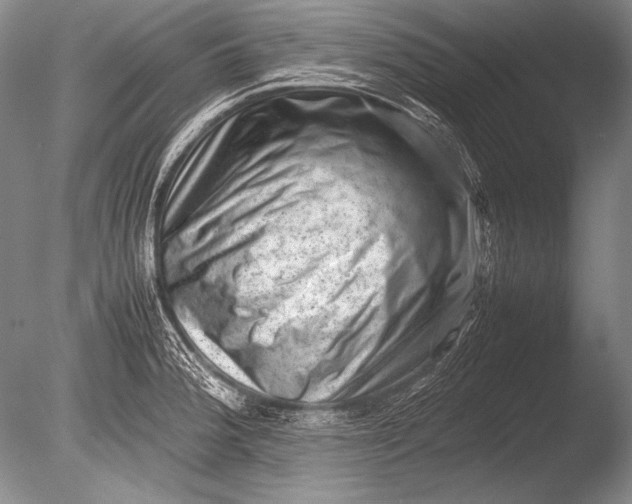 X0000085731188200703301353