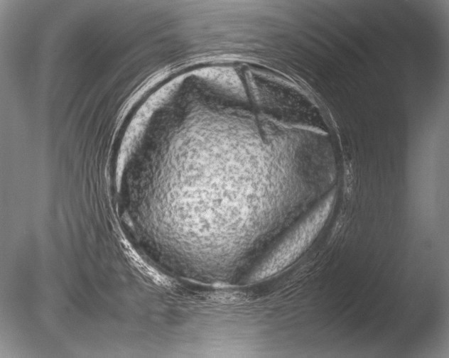 X0000085731189200703301353