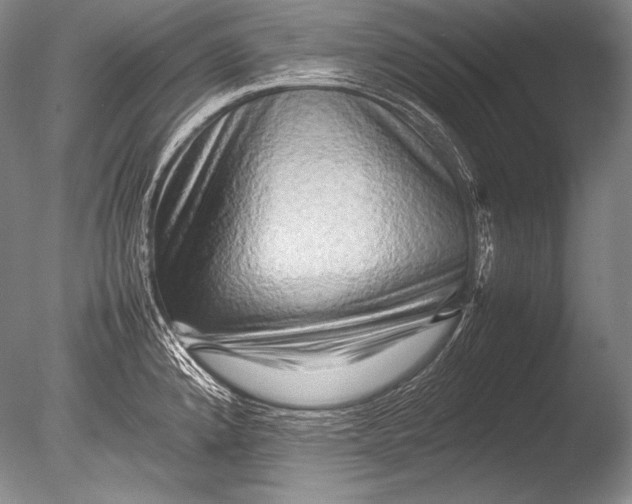 X0000085731192200703301353