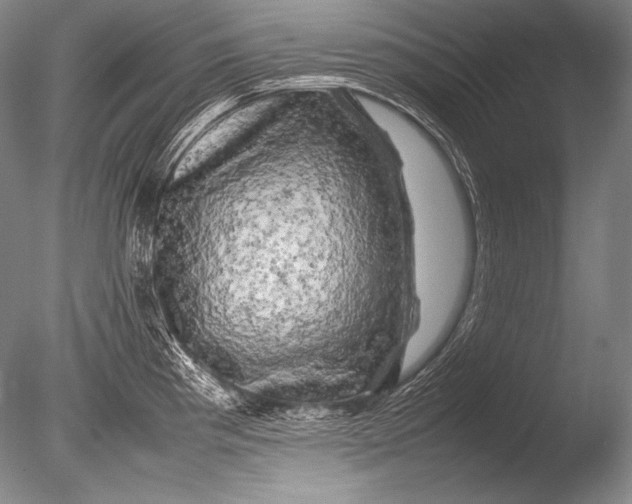 X0000085731193200703301353