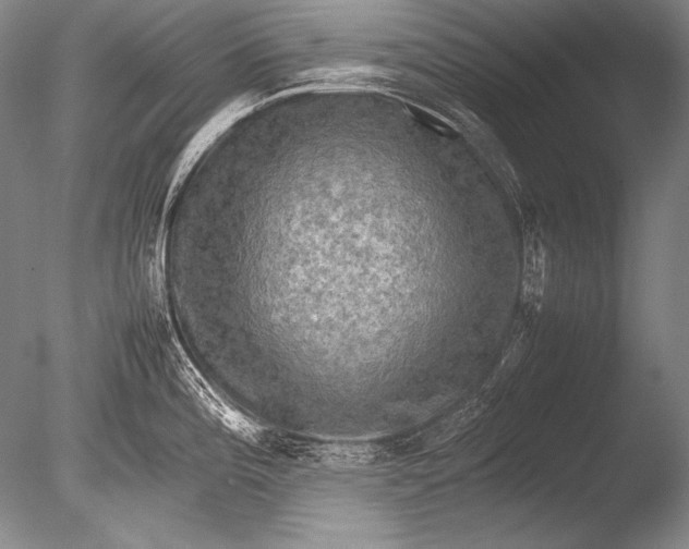 X0000085731196200703301353