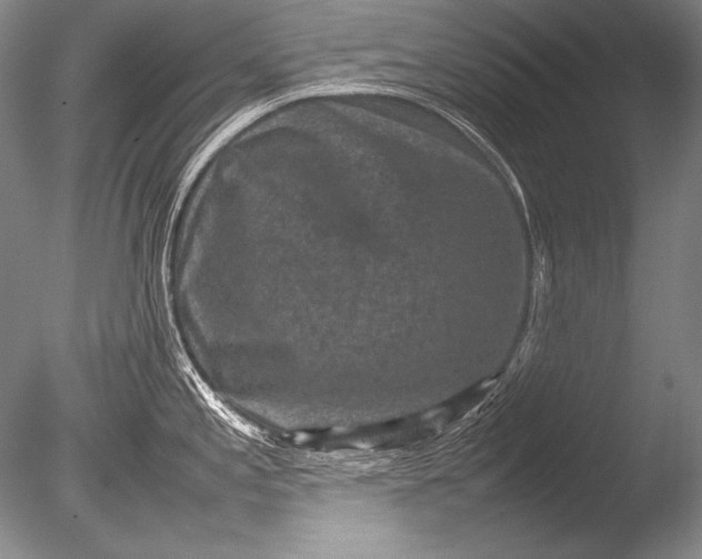 X0000085731197200703301353