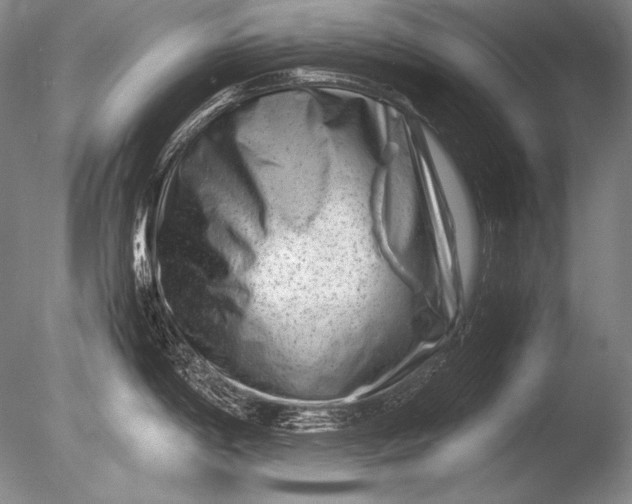 X0000085731198200703301353