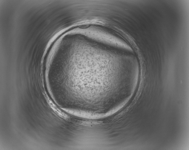 X0000085731200200703301353