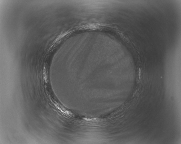 X0000085731206200703301352