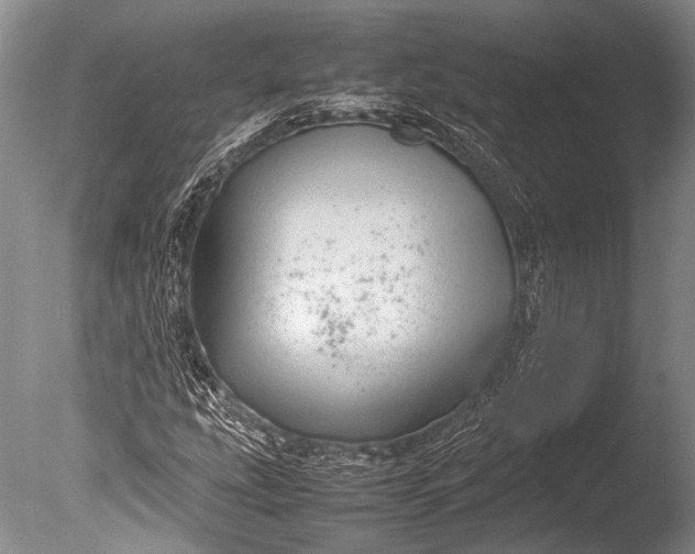 X0000085731207200703301352