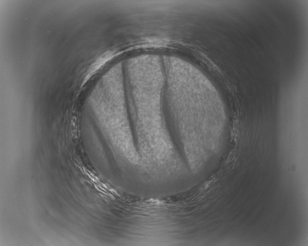 X0000085731208200703301352