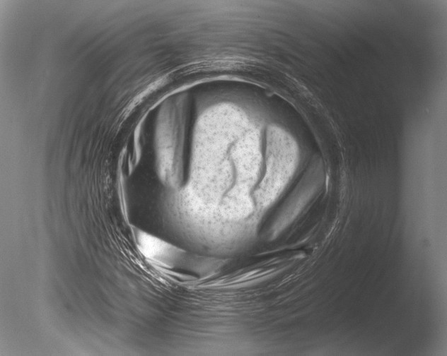 X0000085731210200703301352