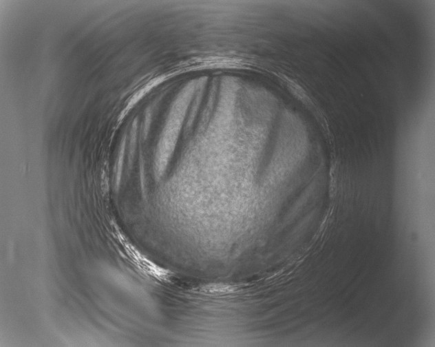 X0000085731212200703301352