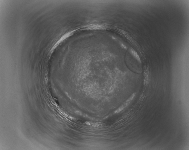 X0000085731213200703301352