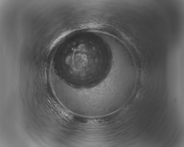 X0000085731214200703301352