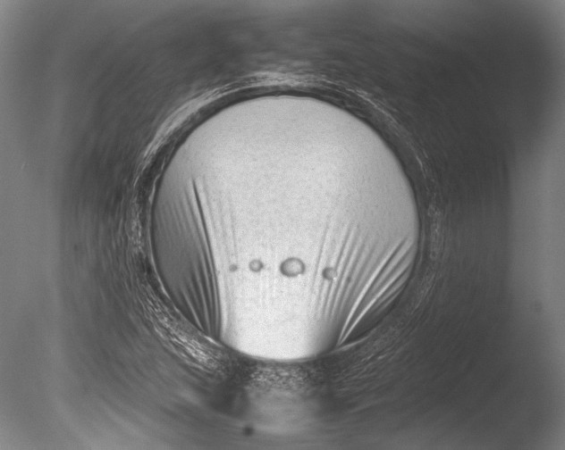 X0000085731215200703301352