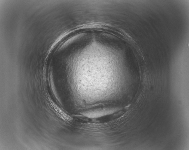 X0000085731216200703301352