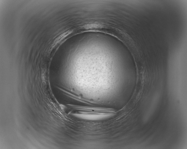 X0000085731217200703301352