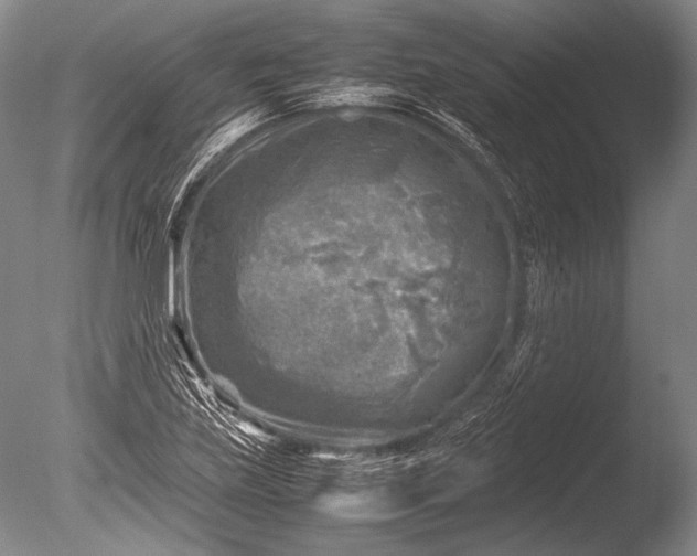 X0000085731219200703301352