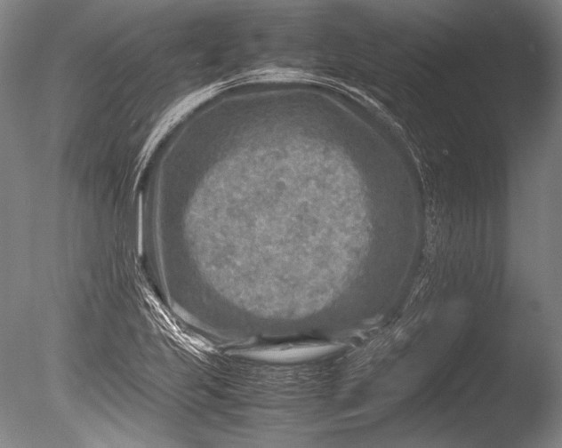 X0000085731223200703301352