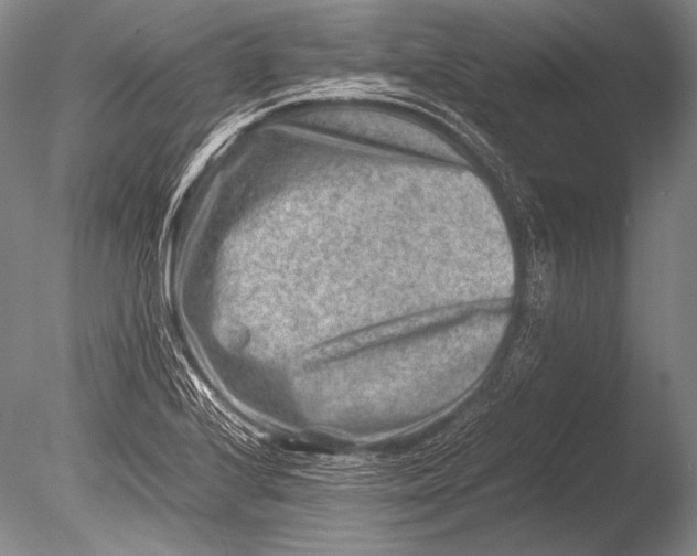 X0000085731224200703301352