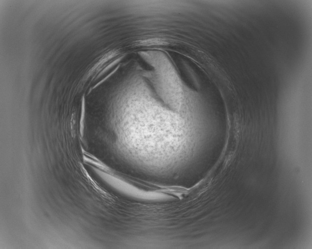 X0000085731225200703301352