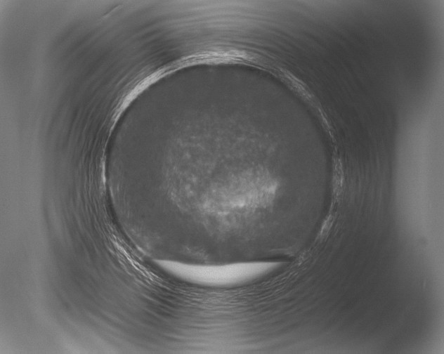 X0000085731226200703301352