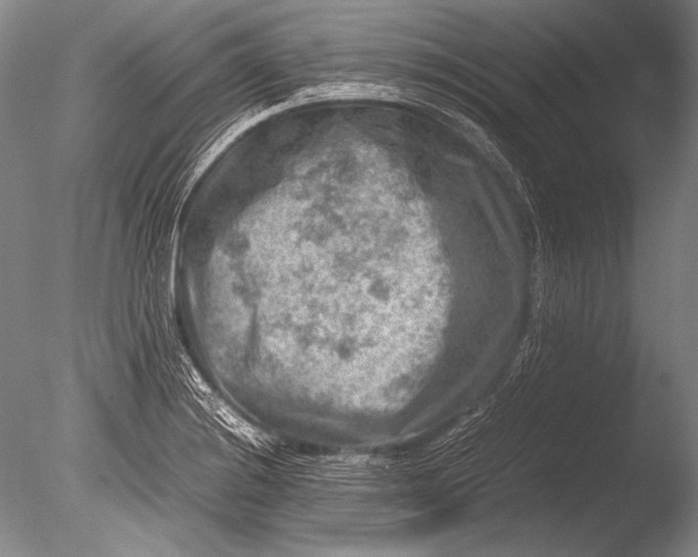 X0000085731228200703301353