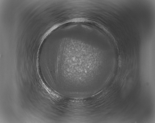 X0000085731229200703301353