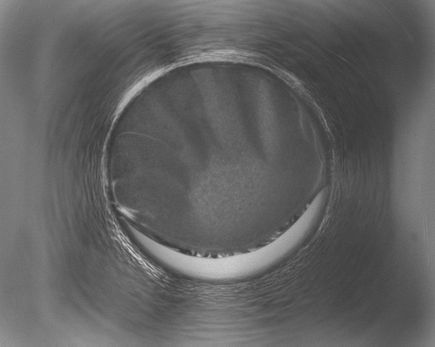 X0000085731230200703301353