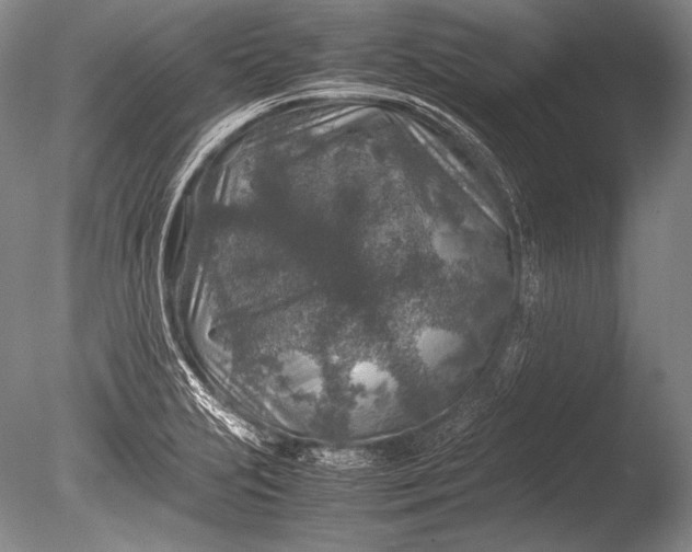 X0000085731231200703301353