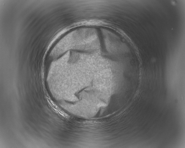 X0000085731232200703301353