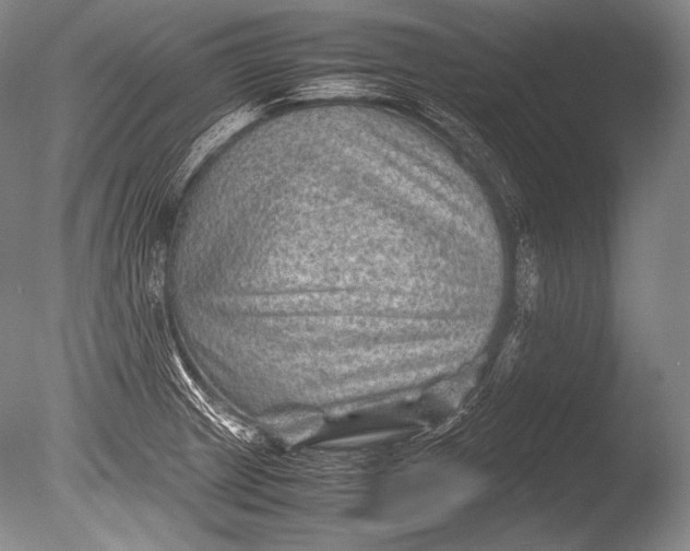 X0000085731233200703301353