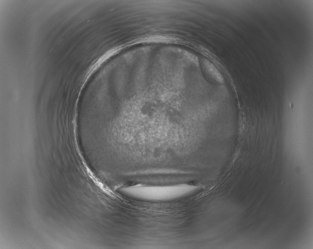 X0000085731237200703301353