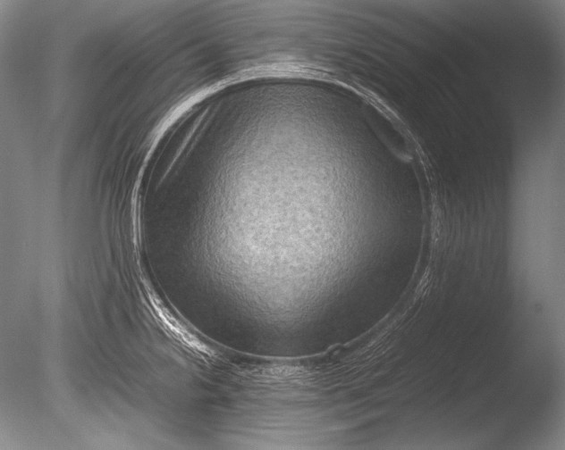 X0000085731238200703301353