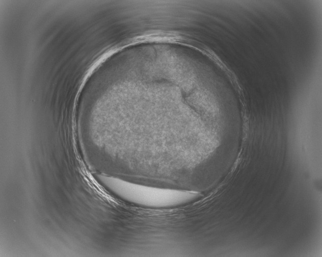 X0000085731240200703301353