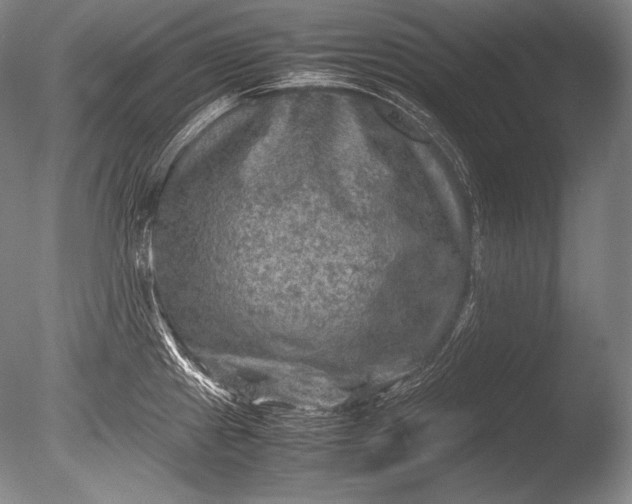 X0000085731241200703301353