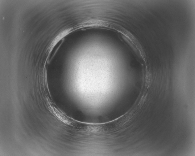 X0000085731242200703301353