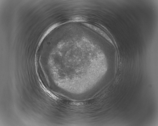 X0000085731243200703301353