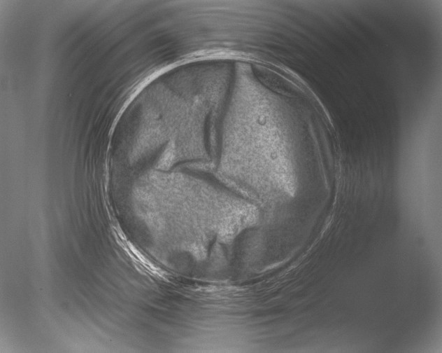 X0000085731244200703301353