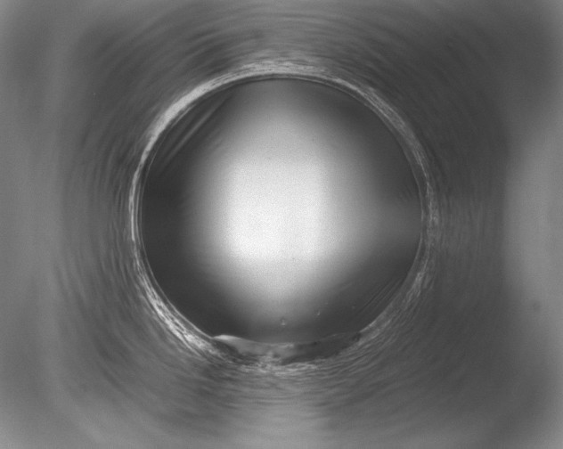 X0000085731246200703301353