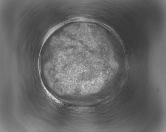 X0000085731247200703301353