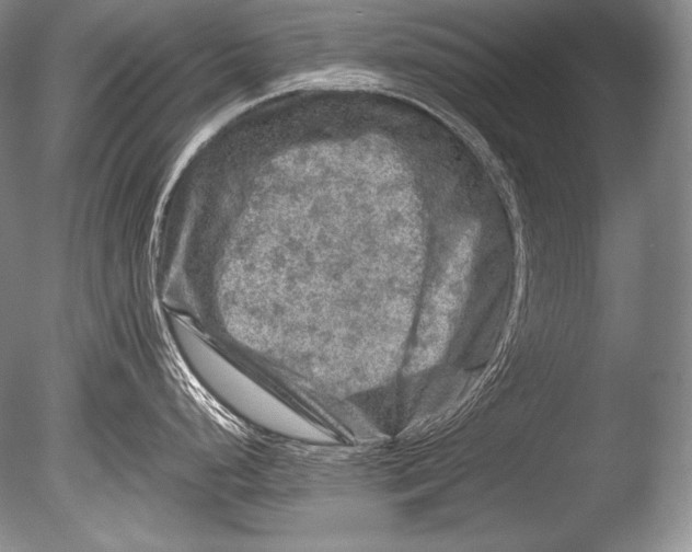 X0000085731248200703301353