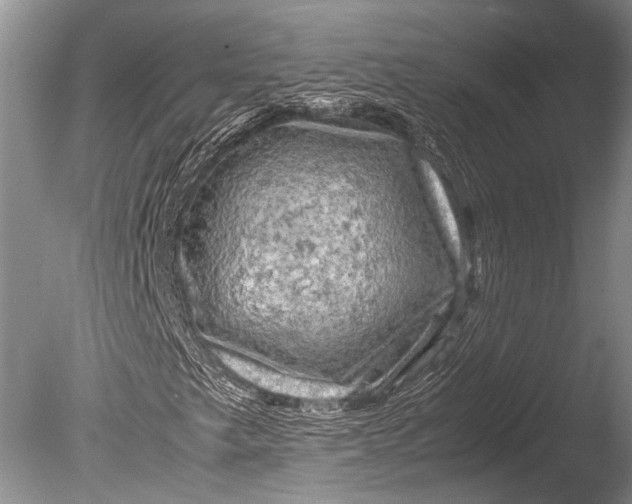 X0000085731249200703301352